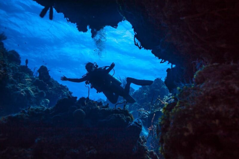 Cancun: Diving the Sunken Ship (Certified Divers) - Key Points