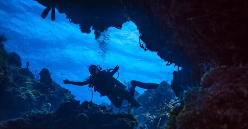 Cancun: Diving the Sunken Ship (Certified Divers) - Booking and Contact