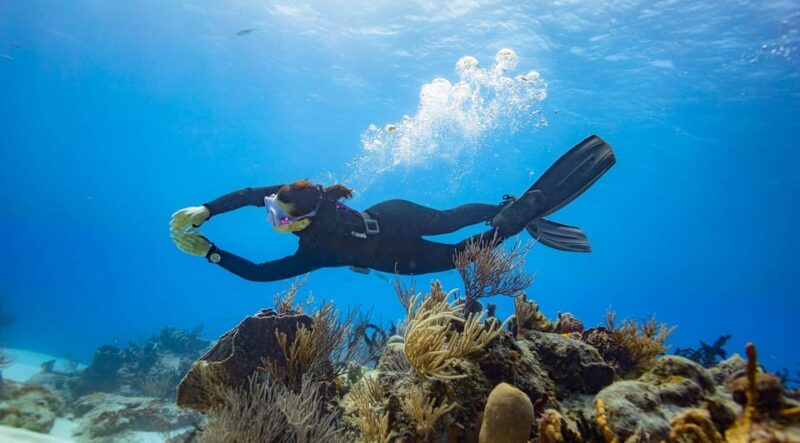 Cancun: Diving the Underwater Art Museum With 2-Tank Dive - Key Points
