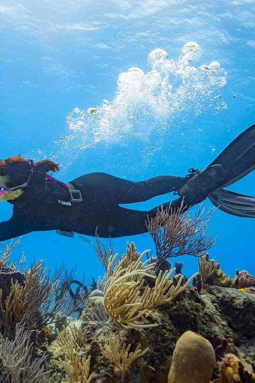 Cancun: Diving the Underwater Art Museum With 2-Tank Dive - Two-Tank Dive Experience