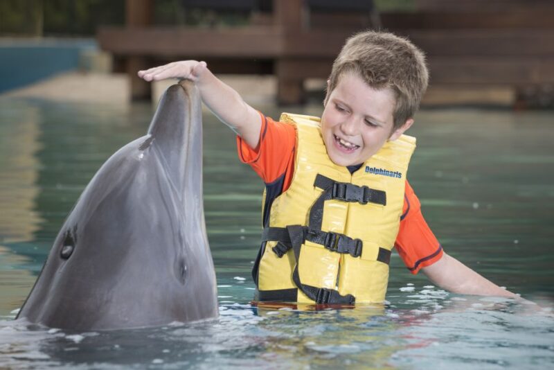 Cancun: Dolphin, ATV, & Zipline Adventure 2-Day Combo Tour - Day 1: Ventura Park Experience