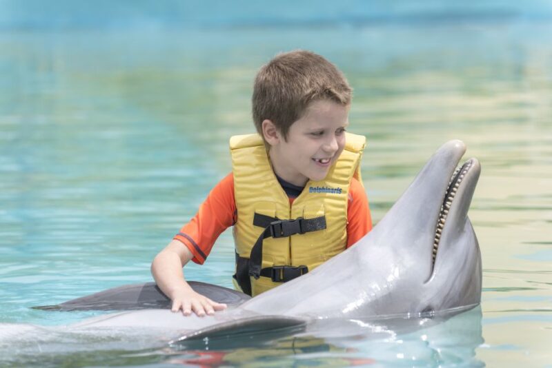 Cancun: Dolphin, ATV, & Zipline Adventure 2-Day Combo Tour - Day 2 Inclusions