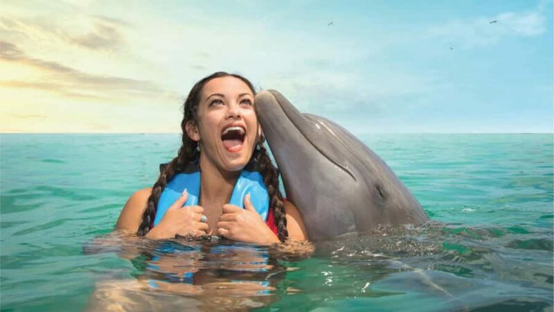 Cancun: Dolphin Connection & Garrafon Reef Park with Buffet - The Value Proposition