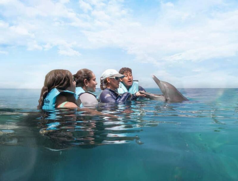 Cancun: Dolphin Connection & Garrafon Reef Park with Buffet - Final Thoughts
