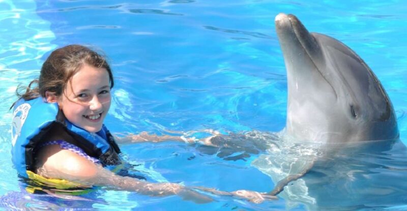 Cancún: Dolphin Encounter on Isla Mujeres With Buffet - Dolphin Interaction Details