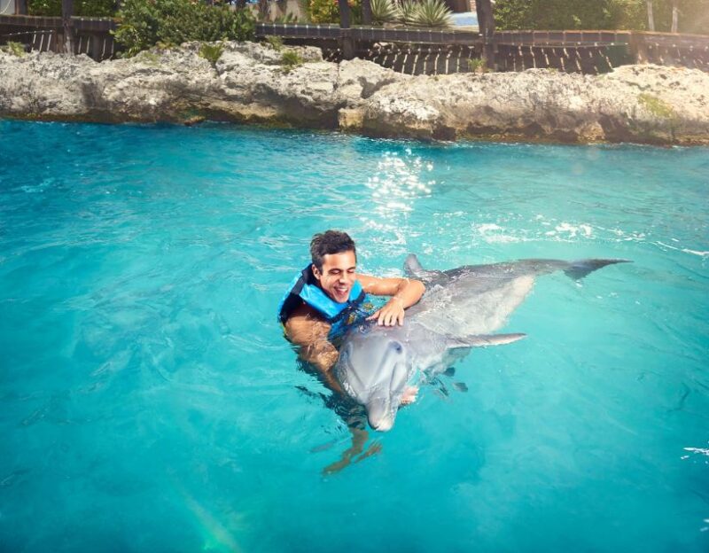 Cancún: Dolphin Encounter on Isla Mujeres With Buffet - Participant Eligibility