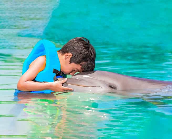 Cancun: Dolphin Golden Experience + Water Park and Buffet - Key Points