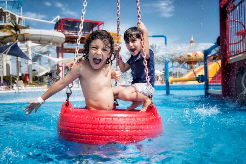 Cancun: Dolphin Golden Experience + Water Park and Buffet - Pricing and Reservations