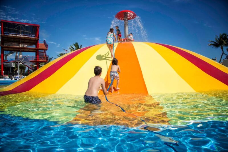 Cancun: Dolphin Golden Experience + Water Park and Buffet - Infinity Pool Access