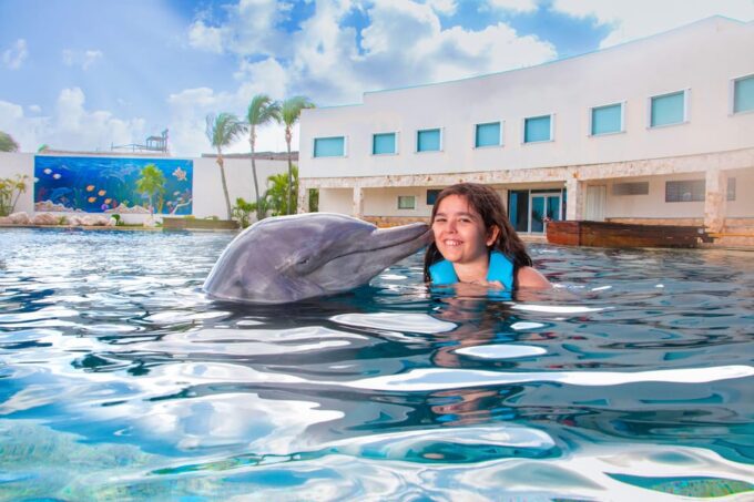 Cancun: Dolphin Golden Experience + Water Park and Buffet - Participation Requirements