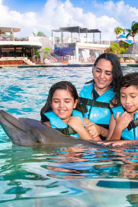 Cancun: Dolphin Golden Experience + Water Park and Buffet - What to Bring and Prohibited Items