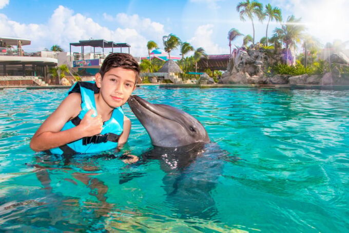 Cancun: Dolphin Golden Experience + Water Park and Buffet - Frequently Asked Questions
