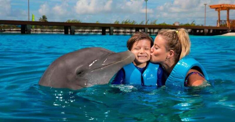 Cancún: Dolphin Swim Adventure - Key Points