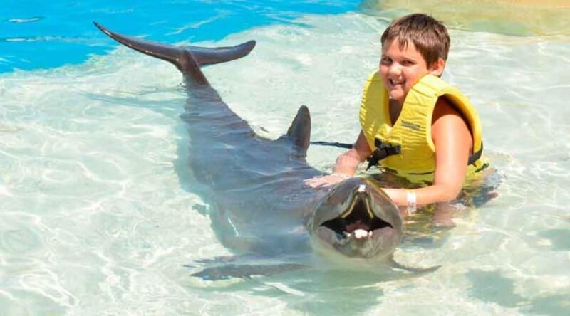 Cancún: Dolphin Swim Adventure - Pricing and Booking