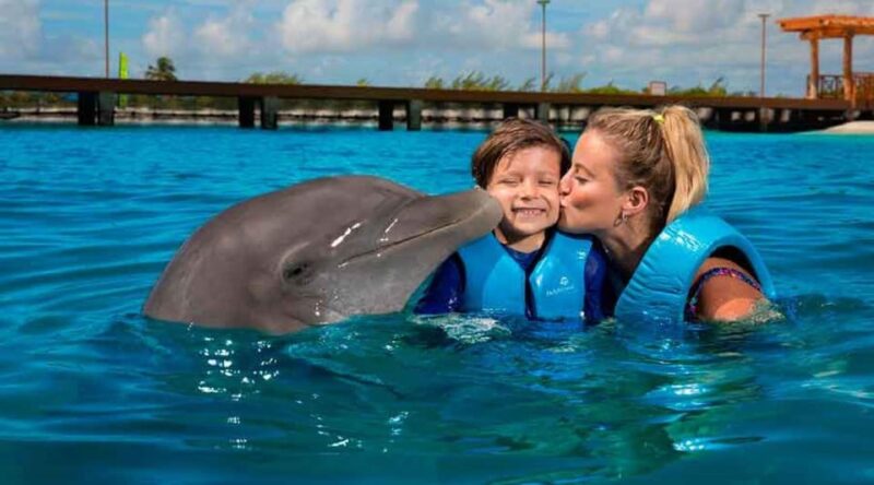 Cancún: Dolphin Swim Adventure - Dolphin Interaction