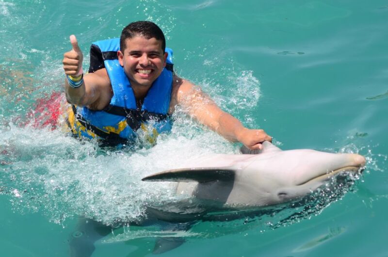 Cancún: Dolphin Swimming Program on Isla Mujeres With Buffet - Key Points