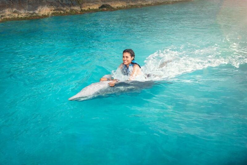 Cancún: Dolphin Swimming Program on Isla Mujeres With Buffet - Included Amenities