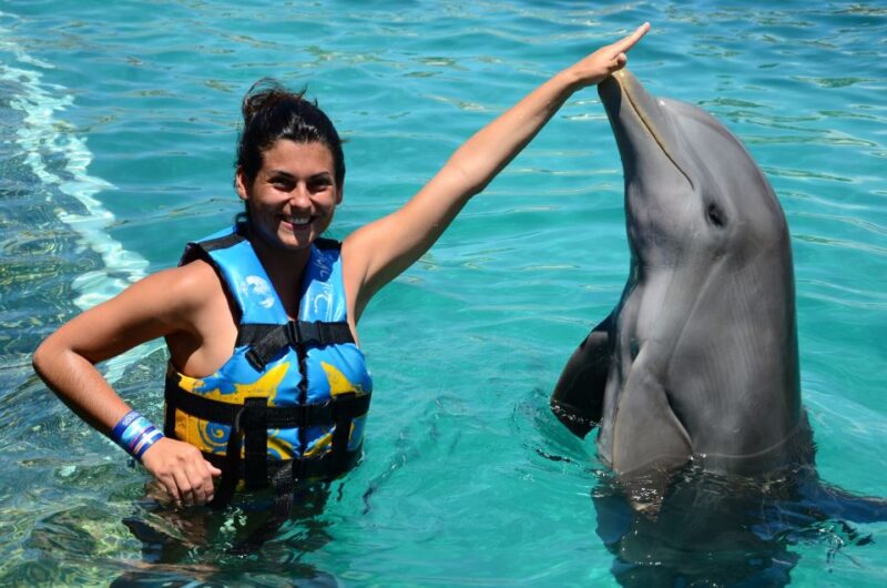 Cancún: Dolphin Swimming Program on Isla Mujeres With Buffet - Transportation and Meeting Point