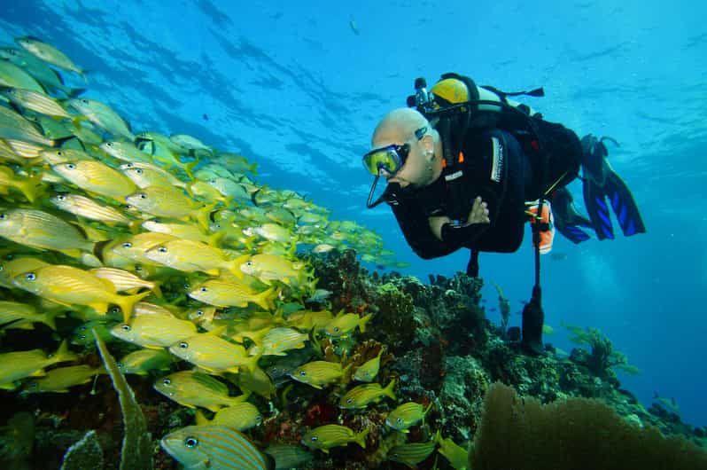 CANCUN: FIRST TIME DIVERS CANCUN | Class + 2 Ocean Dives | - Key Points