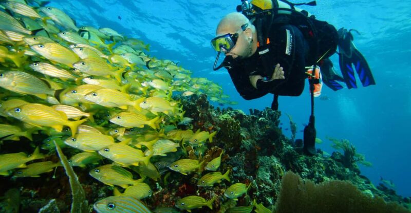 CANCUN: FIRST TIME DIVERS CANCUN | Class + 2 Ocean Dives | - Instructor Qualifications