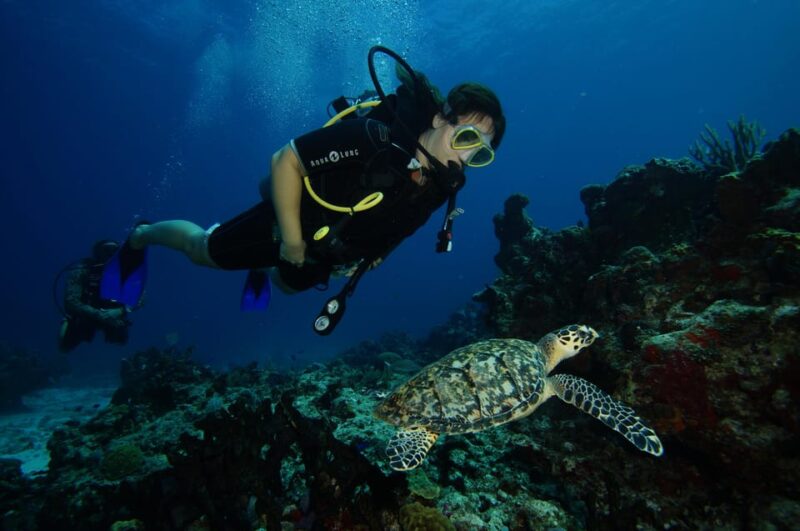 CANCUN: FIRST TIME DIVERS CANCUN | Class + 2 Ocean Dives | - Safety Protocols