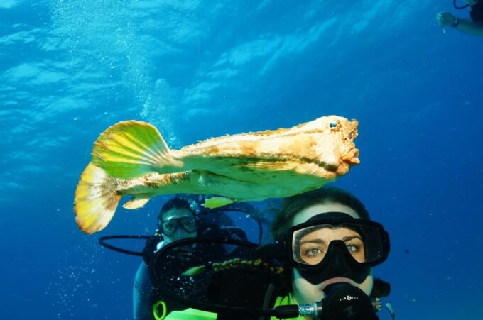 CANCUN: FIRST TIME DIVERS CANCUN | Class + 2 Ocean Dives | - Customer Feedback