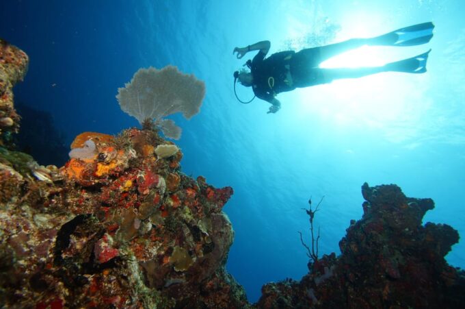 CANCUN: FIRST TIME DIVERS CANCUN | Class + 2 Ocean Dives | - Frequently Asked Questions