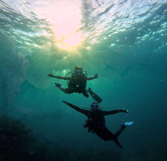 Cancun: First Time Diving Experience With 2 Tanks - Exploring the Vibrant Marine Life