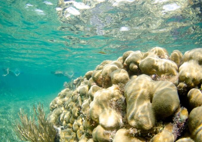 Cancun: Guided Speedboat and Snorkeling Tour - Speedboat Seating Capacity and Weight Limit