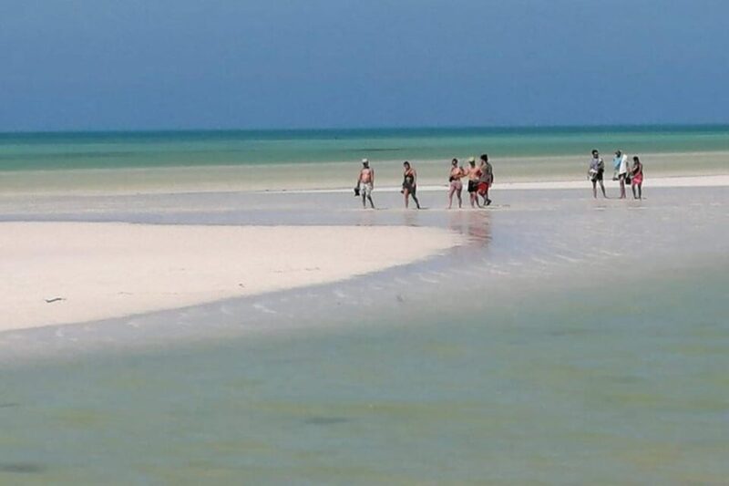 Cancun: Holbox Island, Punta Mosquito Day Trip With Lunch - Itinerary and Transportation