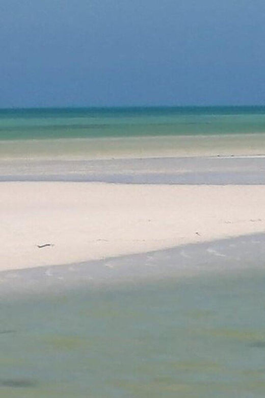 Cancun: Holbox Island, Punta Mosquito Day Trip With Lunch - Visit Punta Mosquito and Cenote