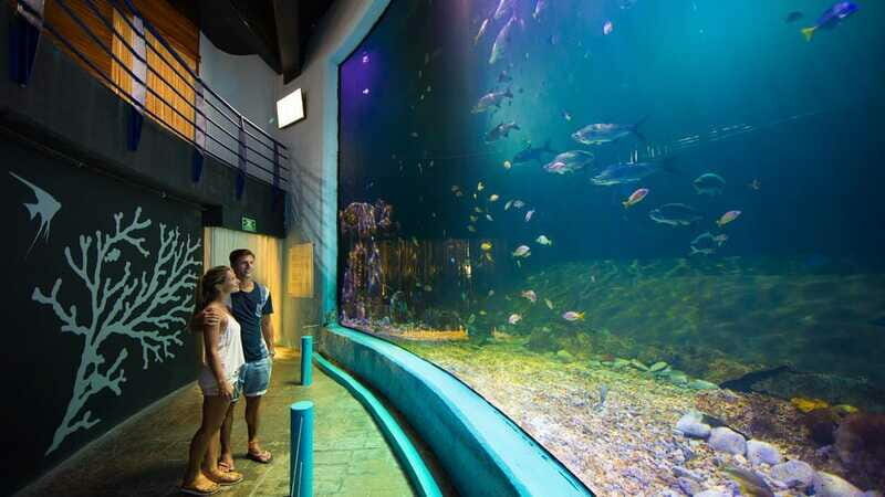 Cancún Interactive Aquarium Admission + Dolphin Presentation - Analyzing the Value