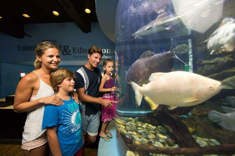 Cancún: Interactive Aquarium Admission - Key Points