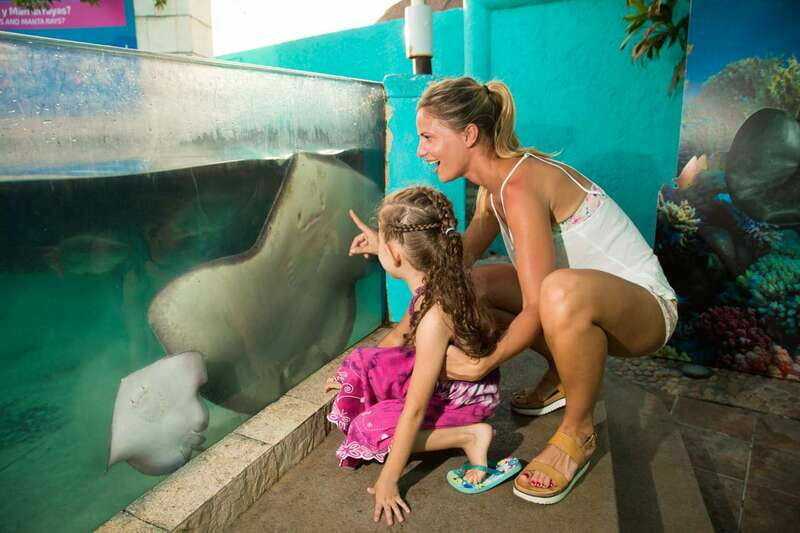 Cancún: Interactive Aquarium Admission - A Closer Look at the Interactive Aquarium Experience