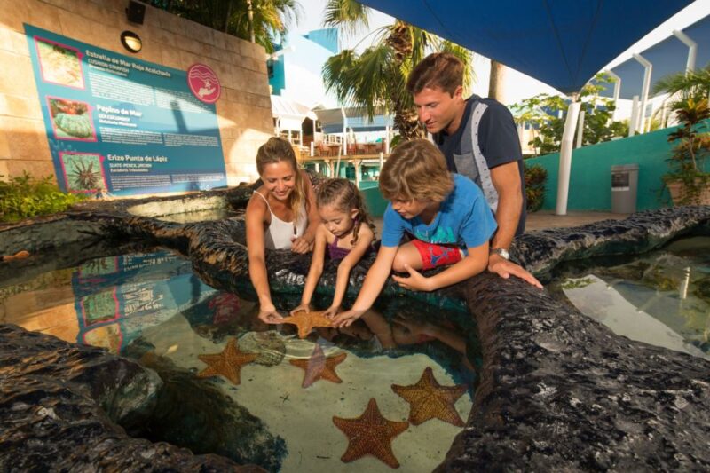 Cancún: Interactive Aquarium Entrance Ticket - Key Points