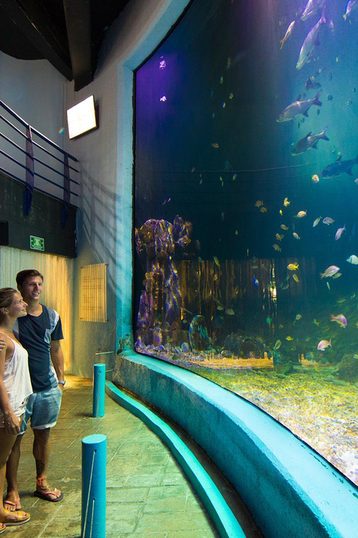 Cancún: Interactive Aquarium Entry With Dolphin Presentation - Experience Highlights