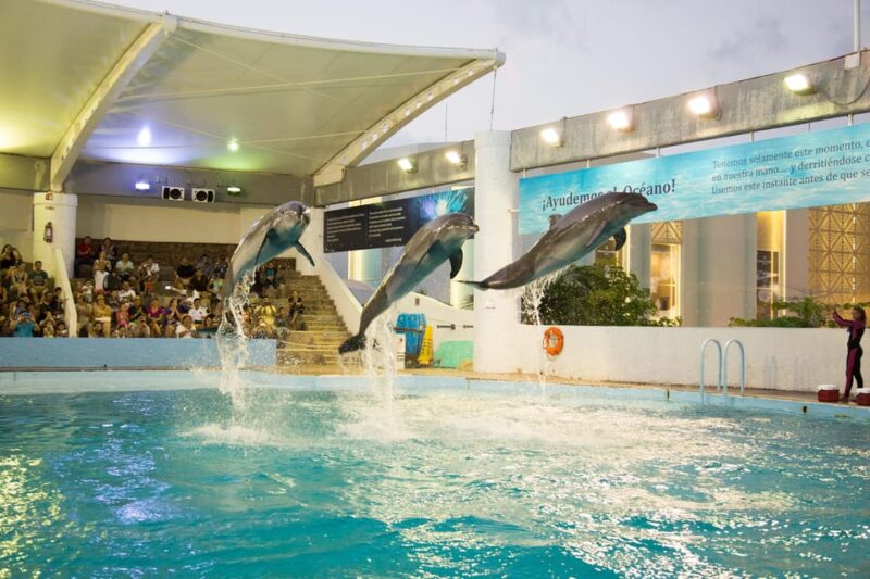 Cancún: Interactive Aquarium Entry With Dolphin Presentation - Customer Reviews