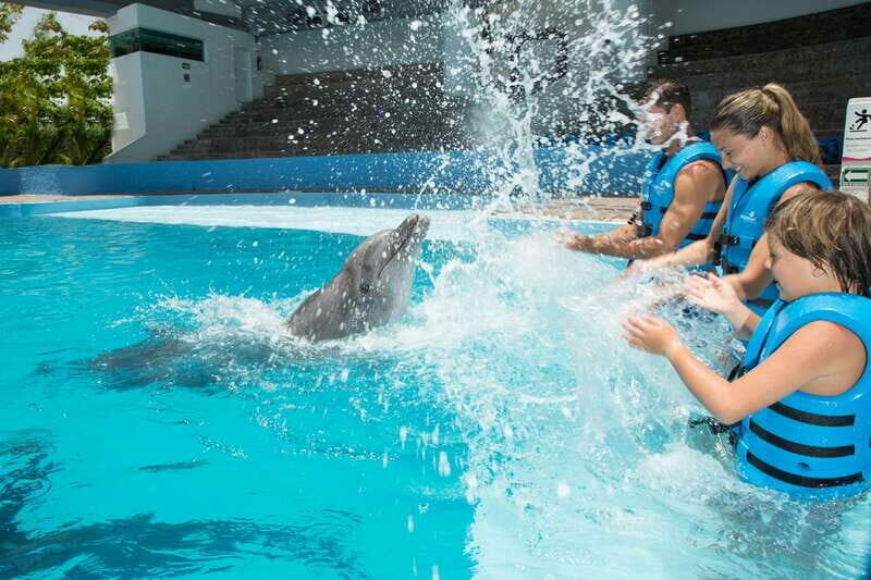 Cancun: Interactive Aquarium - Swim with Dolphins Splash - Key Points