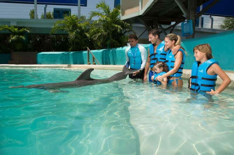 Cancun: Interactive Aquarium - Swim with Dolphins Splash - The Experience in Detail
