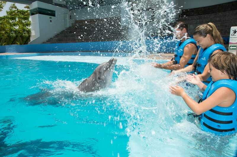 Cancun: Interactive Aquarium - Swim with Dolphins Splash - Practical Tips for Visitors