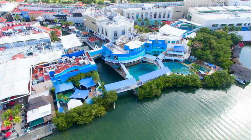Cancun: Interactive Aquarium - Swim with Dolphins Splash - The Sum Up