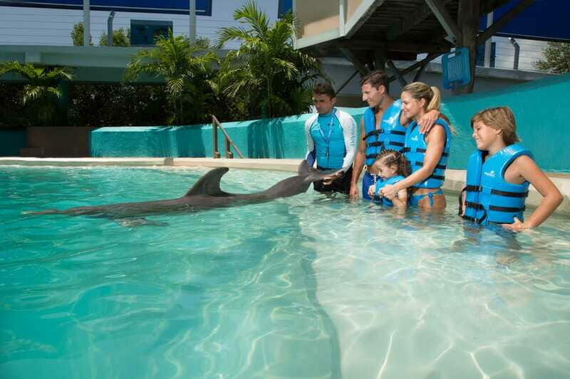 Cancun: Interactive Aquarium - Swim with Dolphins Splash - FAQs