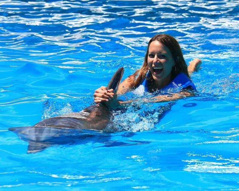 Cancun: Interactive Aquarium Ticket and Swim with Dolphins - The Sum Up: Is It Worth It?