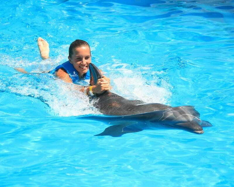 Cancun: Interactive Aquarium Ticket and Swim with Dolphins - FAQ