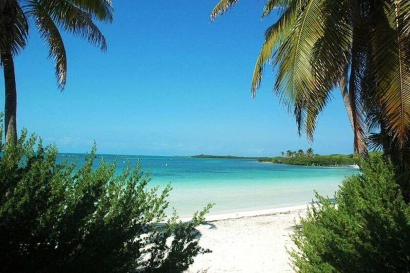 Cancun: Isla Contoy & Shopping Tour in Isla Mujeres - Key Points