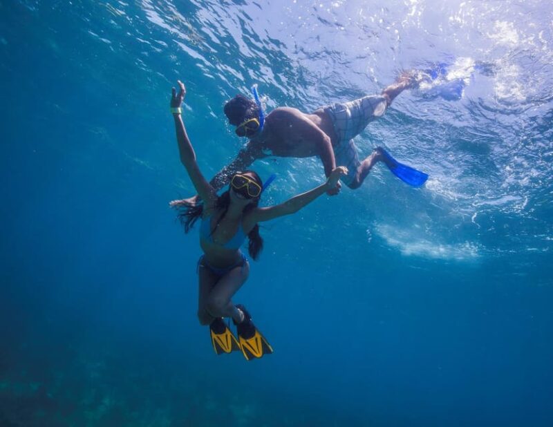 Cancun: Isla Contoy & Shopping Tour in Isla Mujeres - Pricing and Inclusions