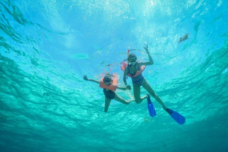 Cancun: Isla Contoy & Shopping Tour in Isla Mujeres - Itinerary and Activities