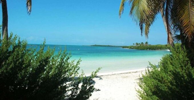 Cancun: Isla Contoy & Shopping Tour in Isla Mujeres - Shopping and Dining