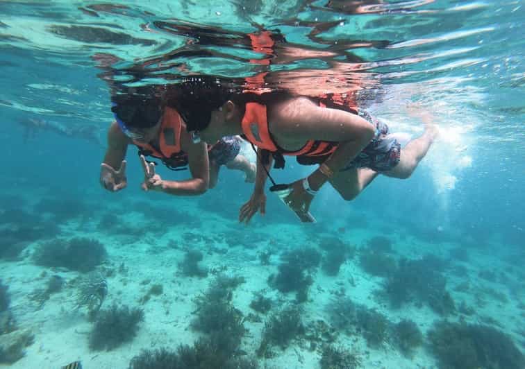 Cancun: Isla Mujeres Catamaran Cruise With Snorkel and Lunch - Key Points
