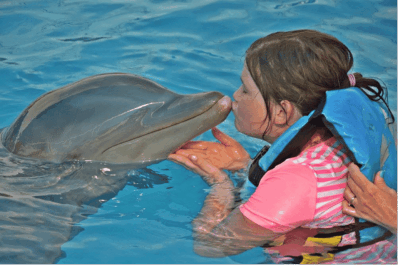 Cancún: Isla Mujeres Catamaran Sail, Snorkel & Dolphin Swim - Meeting Point and Arrival Time